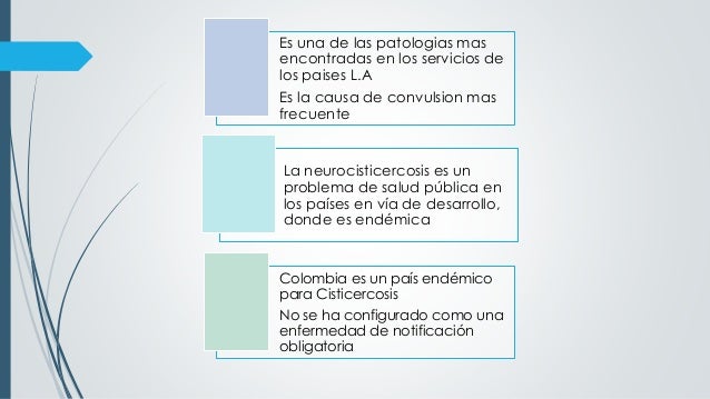 fases de la neurocisticercosis